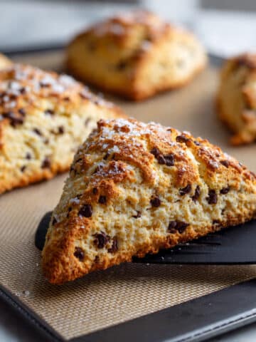 Chocolate Chip Pecan Buttermilk Scones Recipe