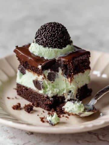 Mint Chocolate Chip Ice Cream Cake Recipe