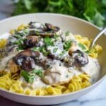 Creamy Chicken Stroganoff Recipe