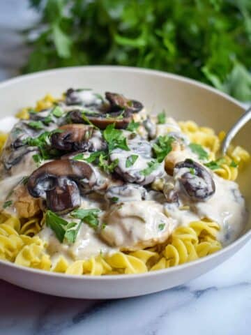 Creamy Chicken Stroganoff Recipe