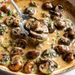 Creamy Mushroom Sauce Recipe