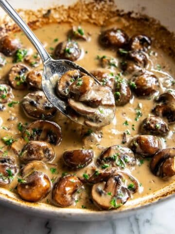 Creamy Mushroom Sauce Recipe
