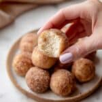 Air Fryer Cinnamon Sugar Donut Holes Recipe