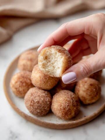 Air Fryer Cinnamon Sugar Donut Holes Recipe